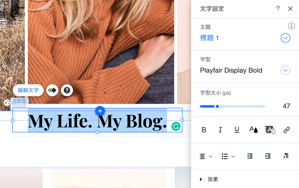 Wix 編輯器建立網站